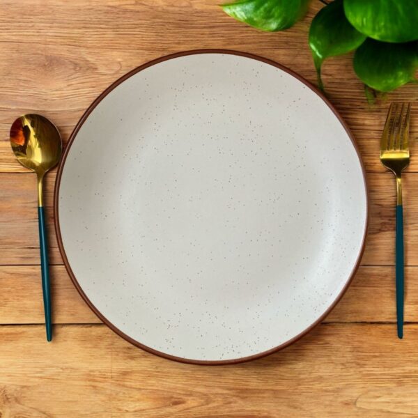 Subtle Beige Plate and Bowl Set - Image 4