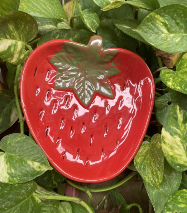 Strawberry Snack Plate